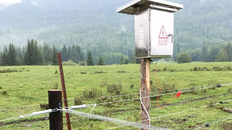 紅池壩國家森林公園：電子圍欄，認準小牛看家